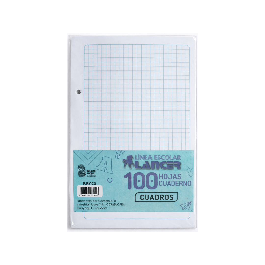 HOJAS TAMAÑO CUADERNO CUADRO X100HJ (A5)