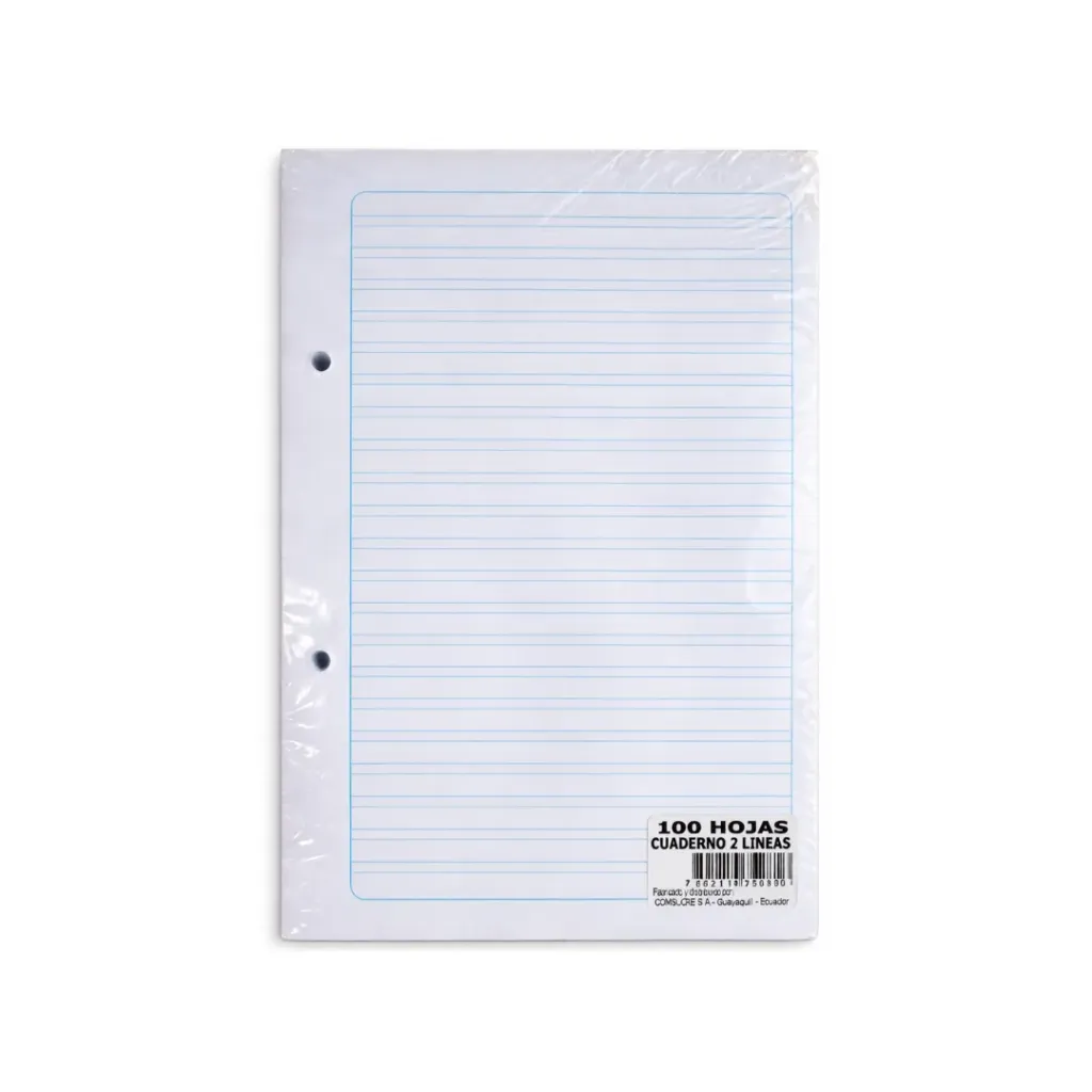 HOJAS TAMAÑO CUADERNO 2 LÍNEAS X100HJ (A5)